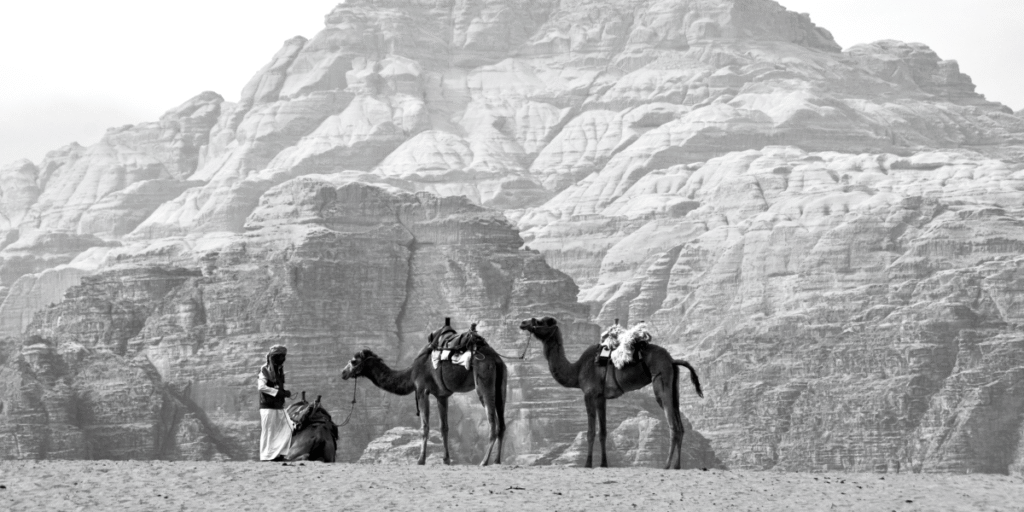 A person with two camels stands on a sandy terrain in front of a large, rocky mountain range.