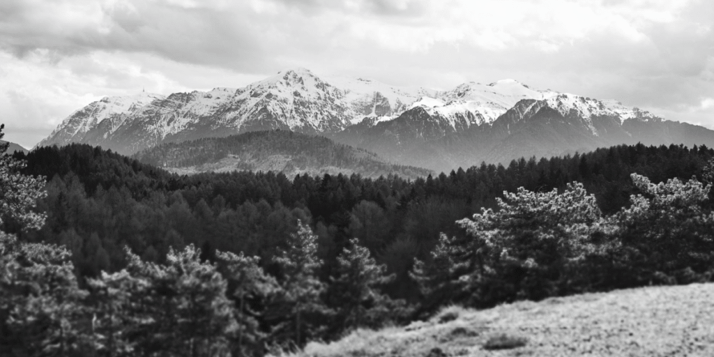 Snow-capped mountain range with forest in the foreground, representing the responsibility of caring for Earth.